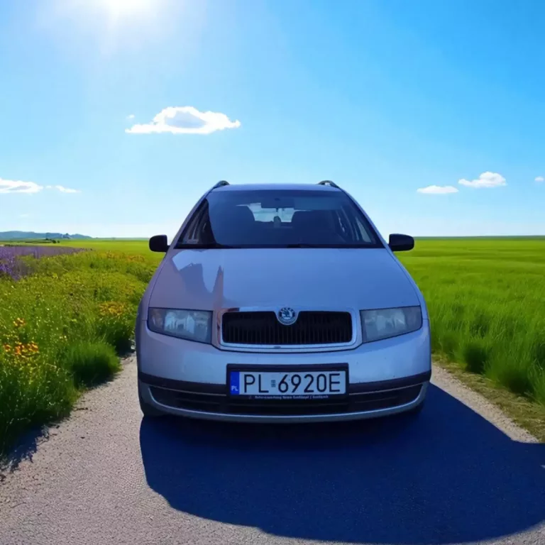 fabia-1