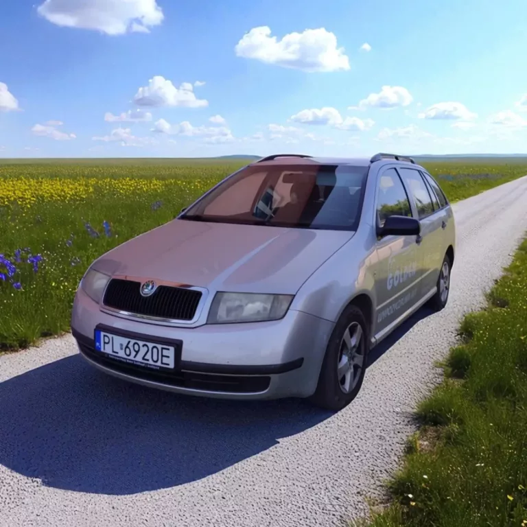 fabia-3